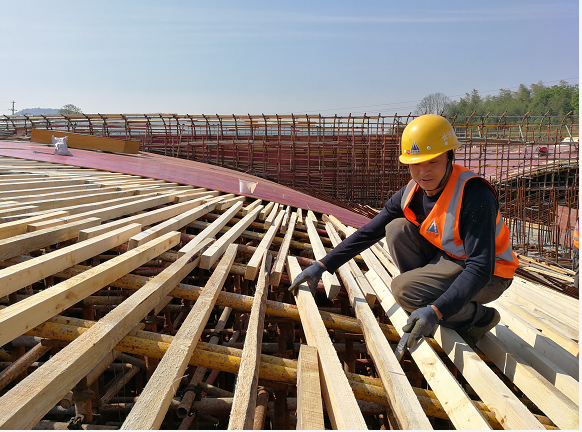 二等獎(jiǎng).png 二等獎(jiǎng).png